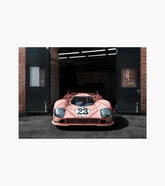 Poster set | 917 Pink Pig