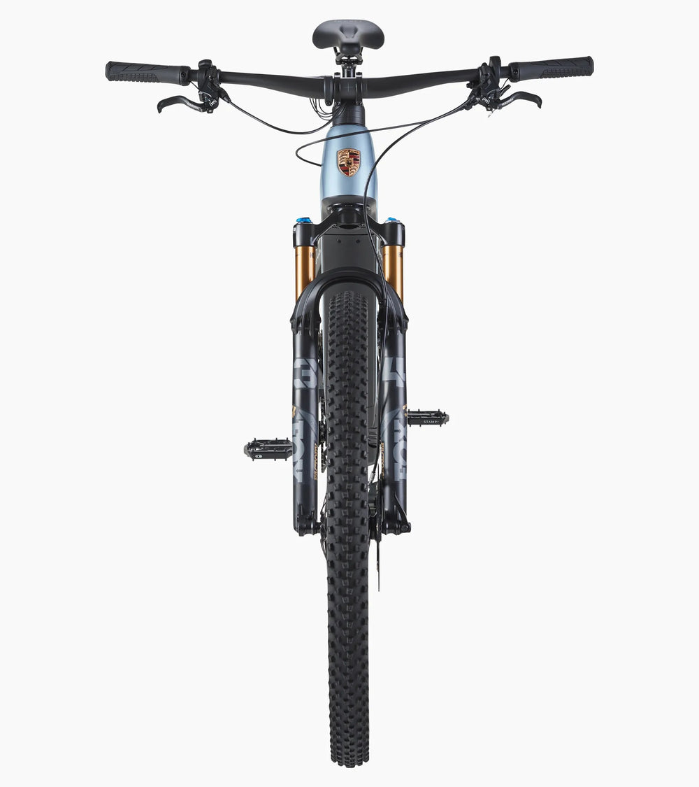 Porsche eBike Cross Performance